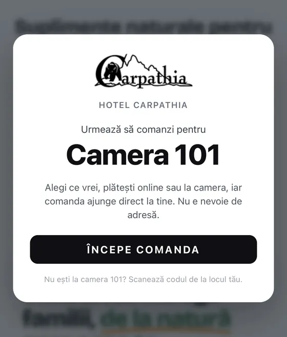 Fereastra de întâmpinare la scanare: Camera 101, hotel